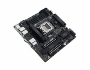 ASUS PRO WS B850M-ACE SE
