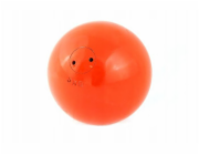 Maxwel 5kg míč