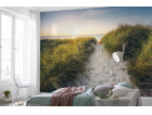 KOMAR Fototapeta Cesta na pláž XXL4-076, 368 cm x 248 cm