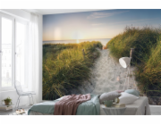 KOMAR Fototapeta Cesta na pláž XXL4-076, 368 cm x 248 cm