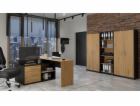 Topeshop OLIV 2D ANT/ART KPL kancelářská police