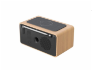 CARNEO W20D DAB, FM radio, wireless charging