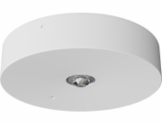 AWEX Nouzové svítidlo AX3N IP20 LED 1W (volitelně otevřené) 1h jednoúčelové bílé AX3N/O/1W/B/1/SE/X/WH