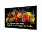 43" D-LED Philips 43BDL5050D-UHD,600cd,AN,24/7