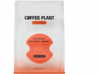 Coffee Plant Kávovník CASCARA Hacienda Sonora 180g