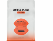 Coffee Plant Kávovník CASCARA Hacienda Sonora 180g