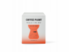 Coffee Plant Sáček na odkapávání kávy Jungle Fruit 10 ks