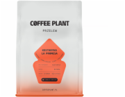Coffee Plant Kávová zrna Costa Rica Promise 250g