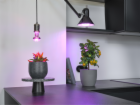 OSRAM LED žárovka E27 20W 650lm