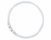 Osram Circular Fluorescent Lamp  T5 FC55W 865 2GX13
