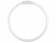 Osram Circular Fluorescent Lamp  T5 FC22W 840 2GX13