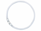 Osram Circular Fluorescent Lamp  T5 FC40W 830 2GX13