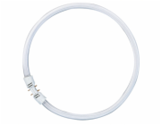 Osram Circular Fluorescent Lamp  T5 FC40W 830 2GX13