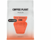 Coffee Plant Flow Coffeedesk Filtrovaná káva 250 g