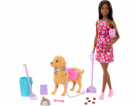 Mattel Barbie BRB BROOKLYN PESÍ PROCHÁZKA JJB47 WB4