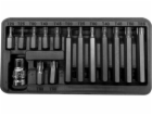 Pro-Line Sada bitů 3/8 Torx T20-T55, 15 kusů (10745)
