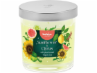 Sviečka Bolsius Floral Fusion Slnečnica a Citrus, vonná, ...