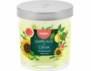 Sviečka Bolsius Floral Fusion Slnečnica a Citrus, vonná, 80/72 mm, v skle