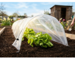 7168956