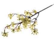 Vetvička MagicHome Vianoce, Sedum.Gold, zlatá, 14x30 cm