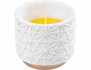 Svíčka Citronella, bílá, repelentní, v dekorativním květináči, 200 g, 110x100 mm