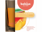 Sviečka Bolsius Jar True Scents 95/95 mm, vonná, mango, v...