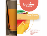 Sviečka Bolsius Jar True Scents 95/95 mm, vonná, mango, v skle