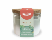 Svíčka Bolsius True Joy Botanic Freshness, vonná, 75/80 mm, ve skle