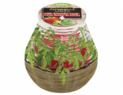 Bolsius Teracce Citronella svíčka, repelent, 94/91 mm, rajče