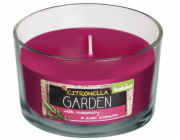 Svíčka Bolsius Glass Citronella, repelent, 62/106 mm, rozmarýn, ve skle