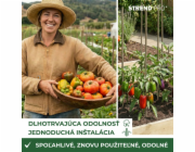 Zahradní tyč KBT 900/8-10 mm, balení. 10 ks, bambus, opora pro rostliny