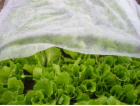Tkanina Garden B1106 3,2x10 m, netkaná textilie, 17 g/m, ...