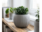 Betonová mísa, 18x14 cm, šedá, betonový vzhled