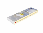 Zápalky Camino MAXI Special 20 cm, 45 ks, krb, dlouhé