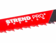 Pilový kotouč Strend Pro SBW-243, 300/1,25 mm, dřevo, HCS, S1344D