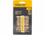 Sada bitů Strend Pro YF40020, 10 kusů, L-65 mm, CrV, GoldenFish