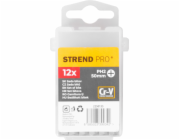 Sada bitů Strend Pro YF40004, 12 kusů, Cr-V