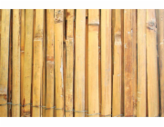Plot Bamboo BSF 1000 mm, L-5 m, dělený