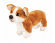 Suki Pes corgi