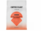 Coffee Plant Kávová rostlina COFEE PLANT - Kolumbijská ká...