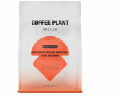 Coffee Plant Kávová rostlina COFEE PLANT - Kolumbijská káva Miriam Quesada Pink Bourbon Filter 250 g