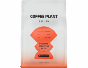 Coffee Plant Kávová rostlina - Honduras Sebastian Mejia Honey Filtrovaná káva 250 g