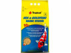 Tropical Pond Sticks směs 4kg sáček (41630)