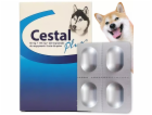 Ceva CESTAL PLUS PRO PSY BLISTR 8 tablet K ODČERVOVÁNÍ