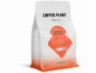 Coffee Plant Kávová rostlina - kávová zrna Indonésie Bali...