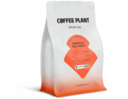 Coffee Plant Kávová rostlina - kávová zrna Indonésie Bali Medový filtr 250 g