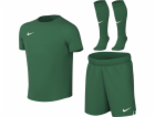 Nike Dětská sportovní souprava Dri-Fit Park VIII zelená H...