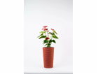 Jutový květináč Adoni Red s vložkou 22x36 cm - ručně vyro...