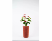Jutový květináč Adoni Red s vložkou 22x36 cm - ručně vyrobený (adoni-red-36)