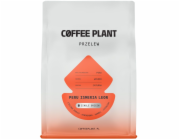 Coffee Plant Kávová rostlina Peru Ismeria Leon 250 g kávových zrn